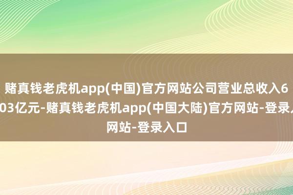 赌真钱老虎机app(中国)官方网站公司营业总收入666.03亿元-赌真钱老虎机app(中国大陆)官方网站-登录入口