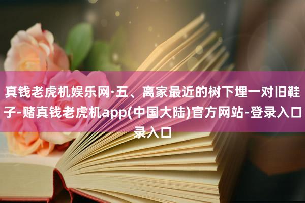 真钱老虎机娱乐网·五、离家最近的树下埋一对旧鞋子-赌真钱老虎机app(中国大陆)官方网站-登录入口