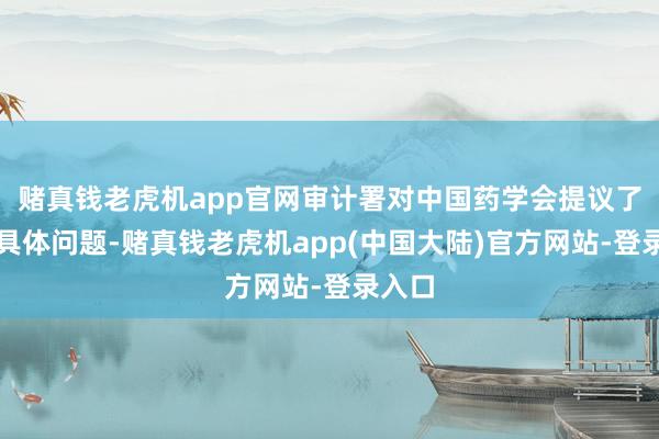赌真钱老虎机app官网审计署对中国药学会提议了四项具体问题-赌真钱老虎机app(中国大陆)官方网站-登录入口