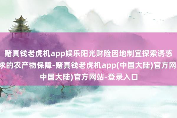 赌真钱老虎机app娱乐阳光财险因地制宜探索诱惑合适方位需求的农产物保障-赌真钱老虎机app(中国大陆)官方网站-登录入口